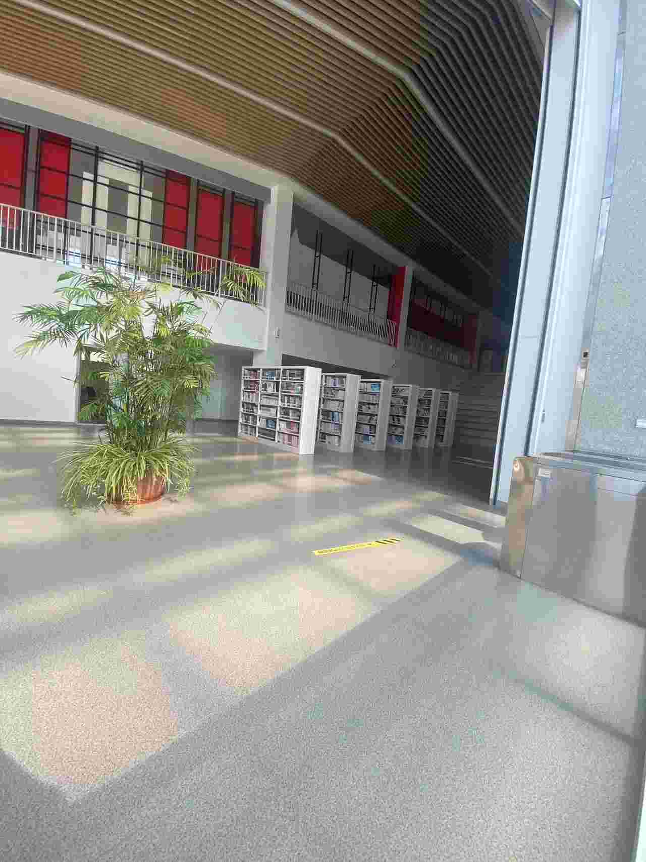 塑胶地板